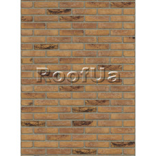 Цегла ручного формування Rijswaard Gamers Bont HV